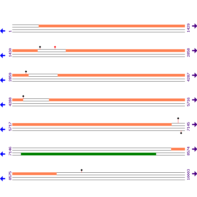 Genome View