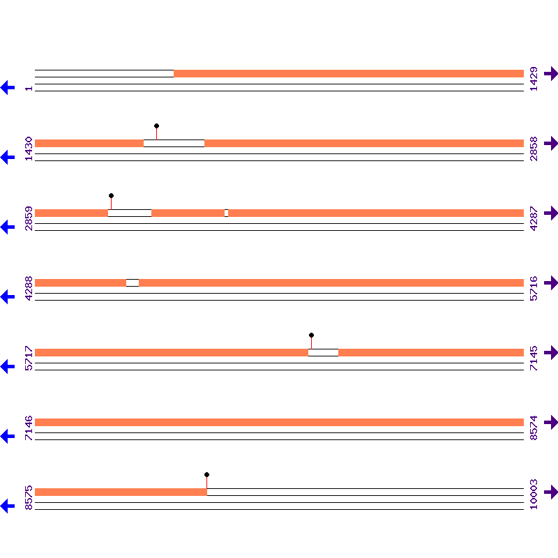 Genome View
