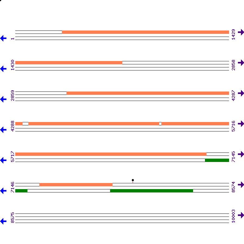 Genome View