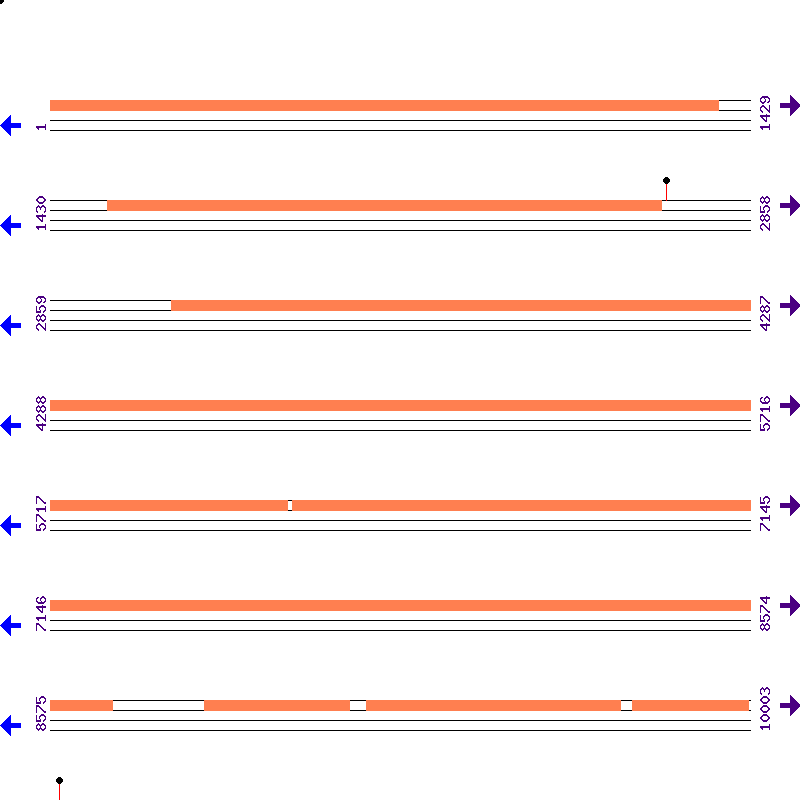 Genome View