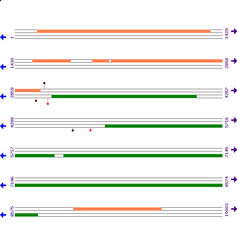 Genome View