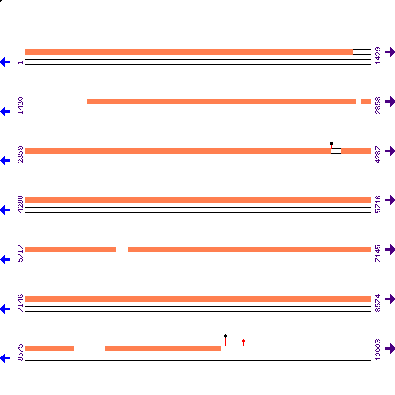 Genome View