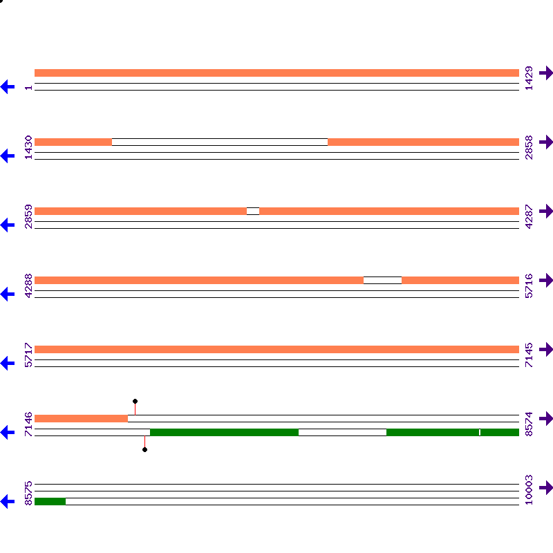 Genome View