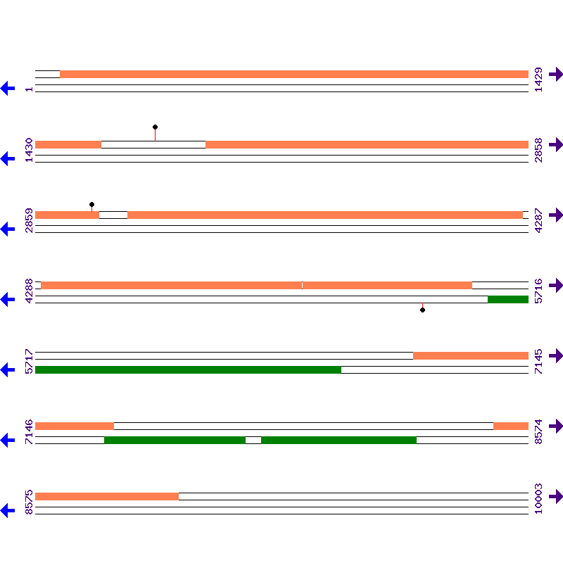 Genome View