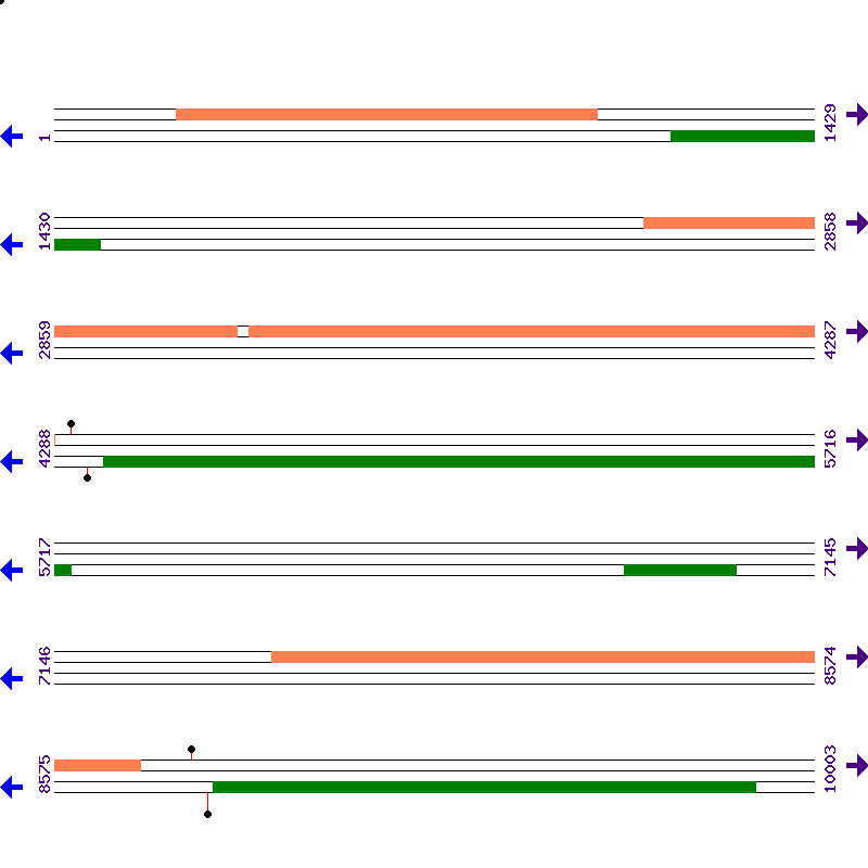 Genome View