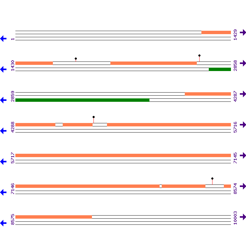 Genome View