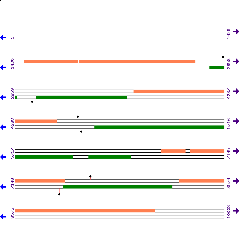 Genome View