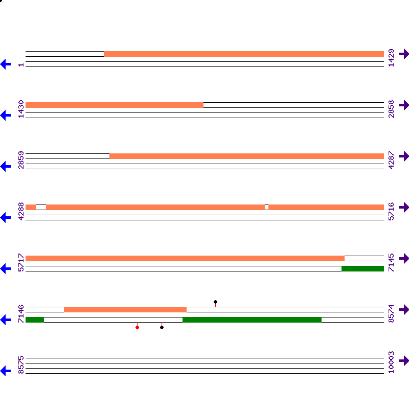 Genome View