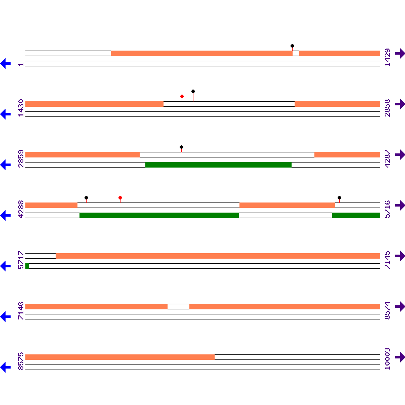 Genome View