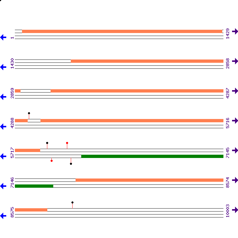 Genome View
