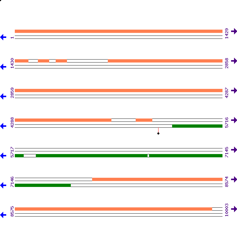 Genome View