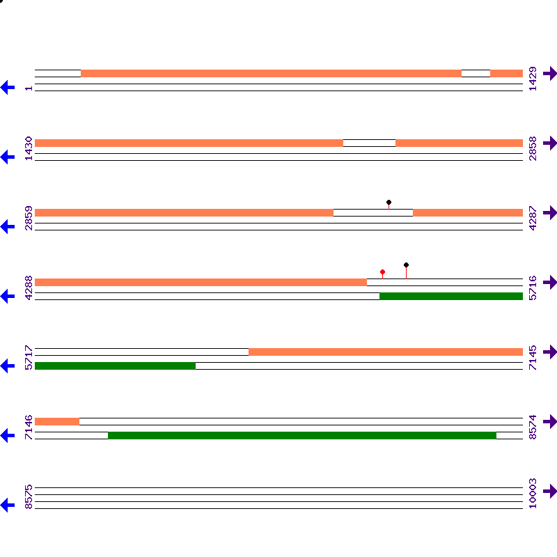 Genome View