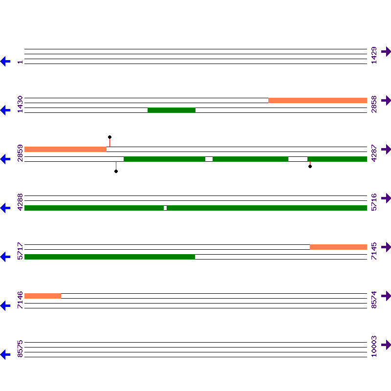 Genome View