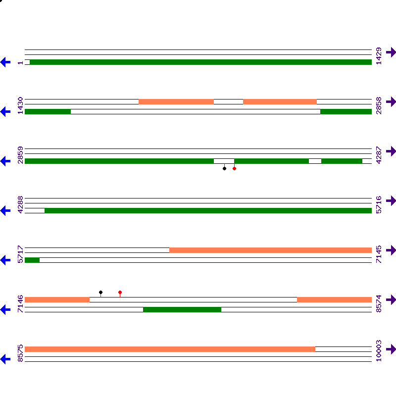 Genome View