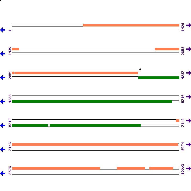 Genome View