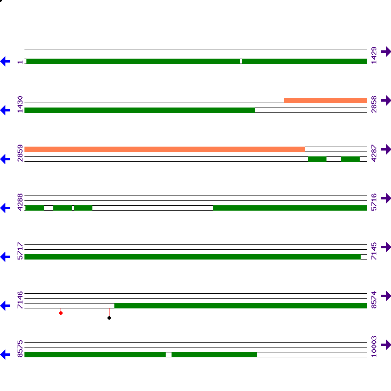 Genome View