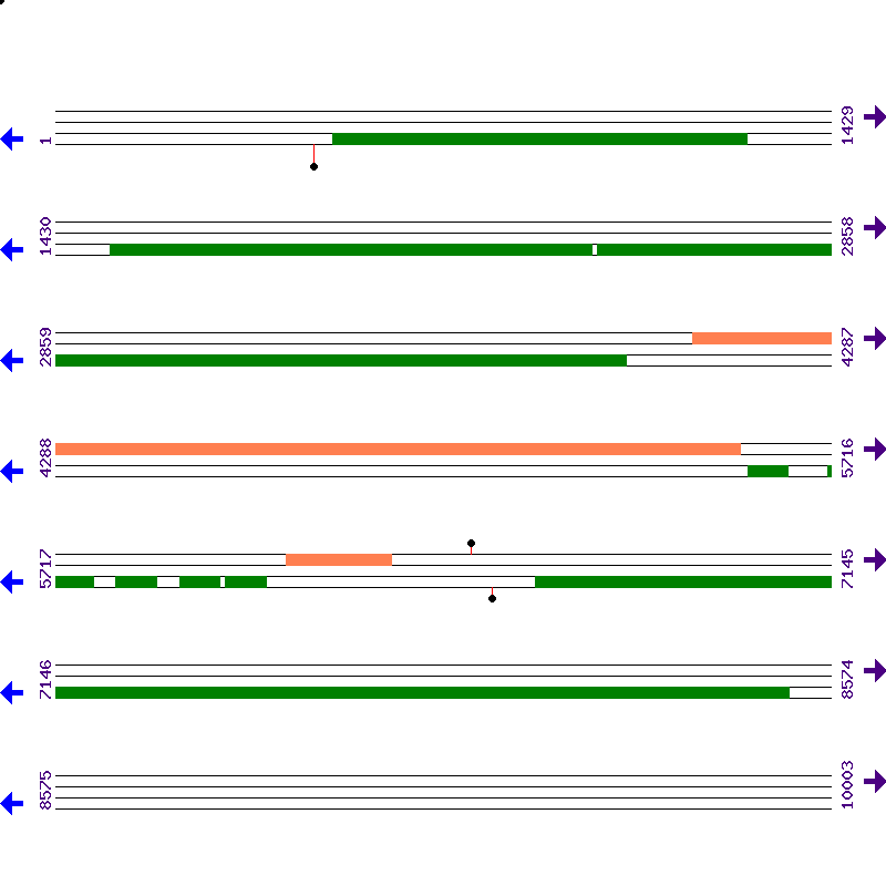 Genome View