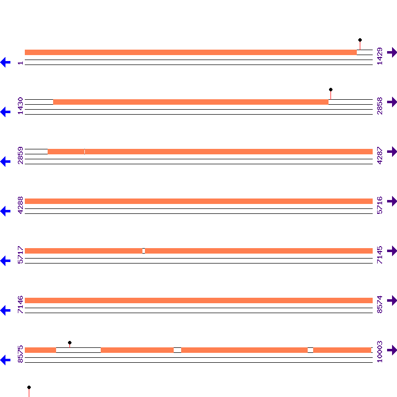 Genome View