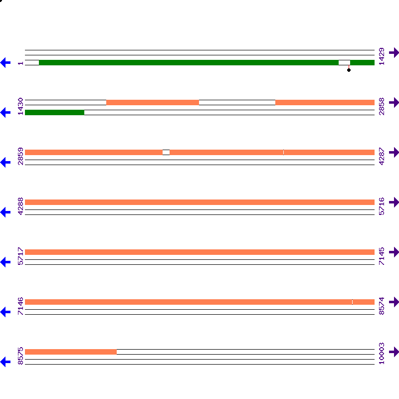 Genome View