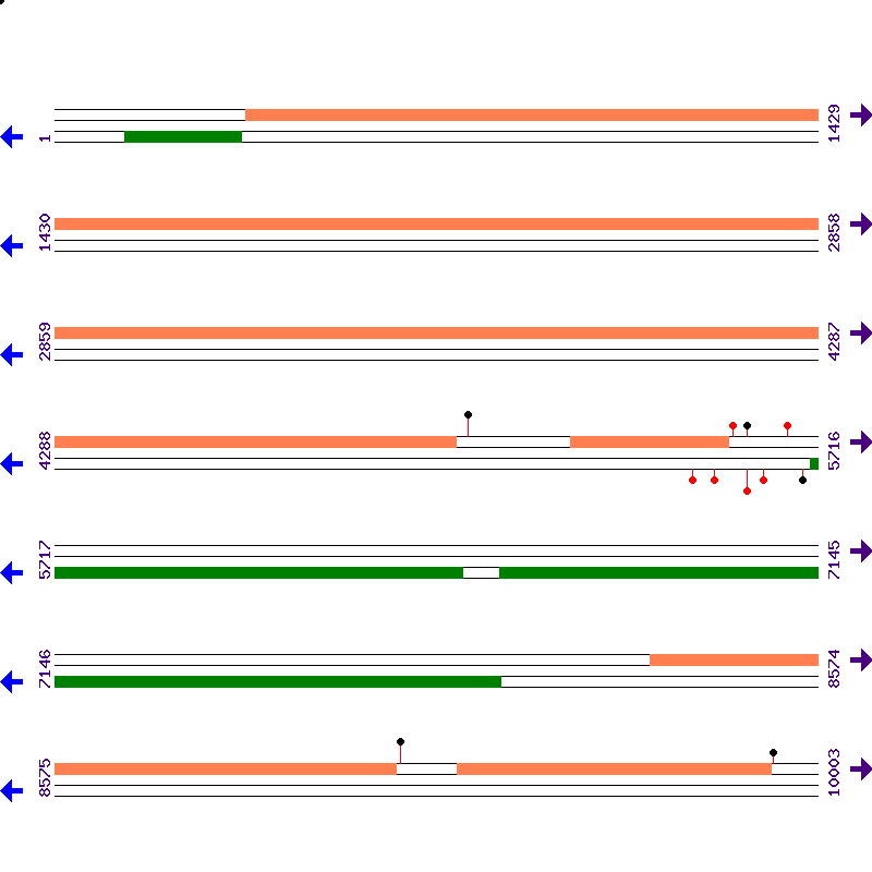 Genome View