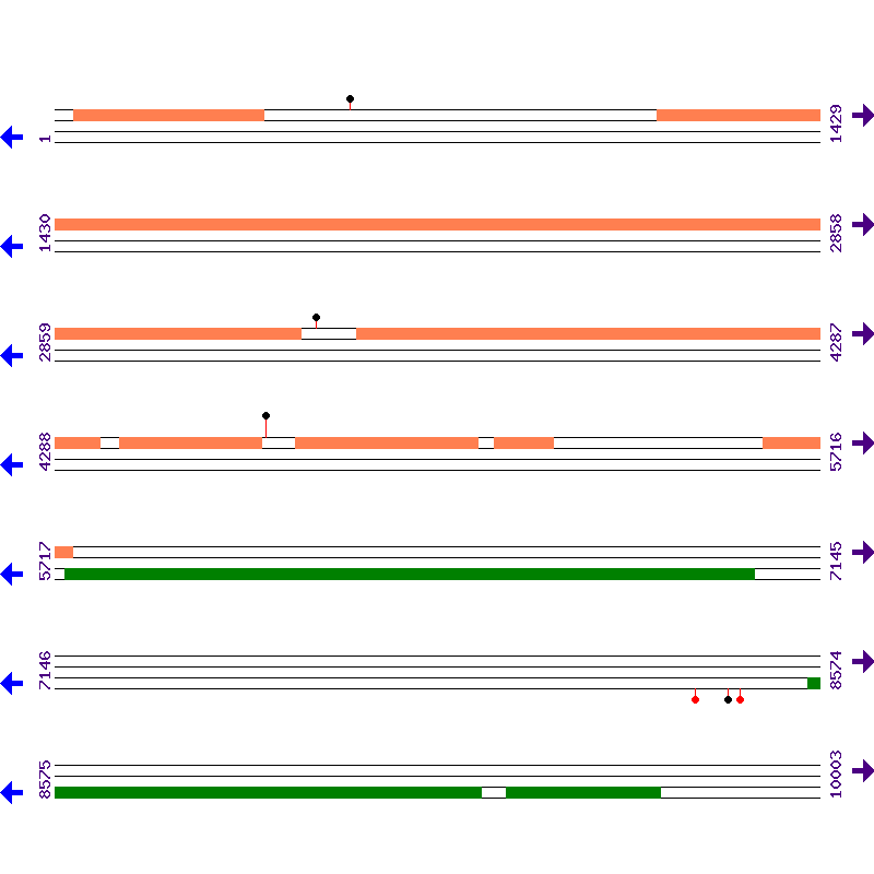Genome View
