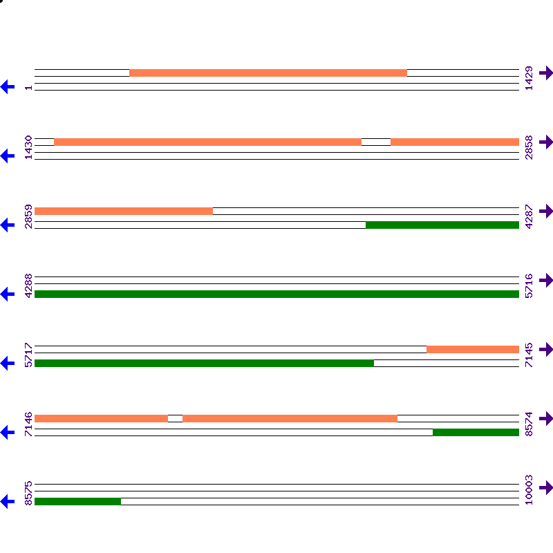 Genome View