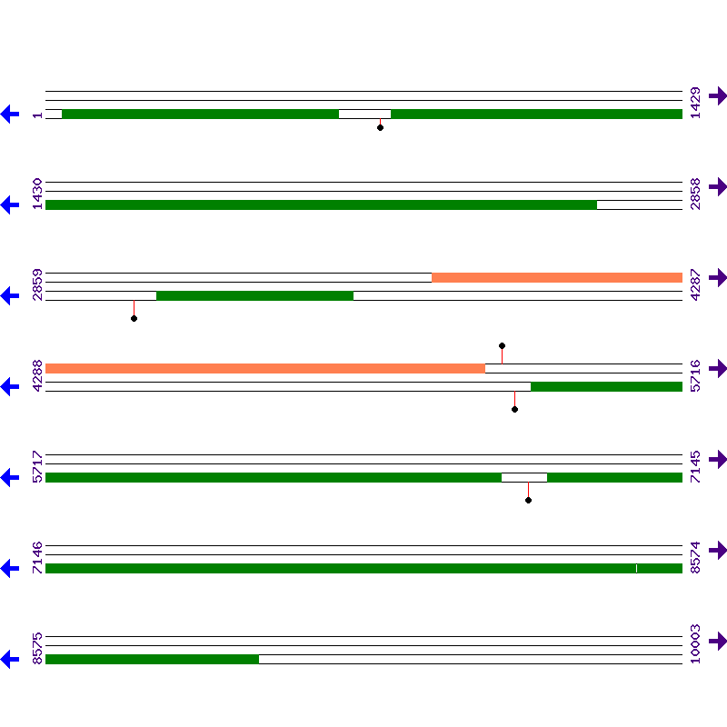 Genome View