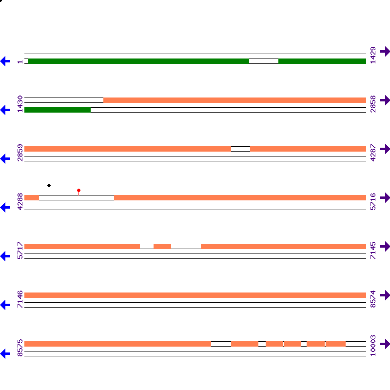 Genome View