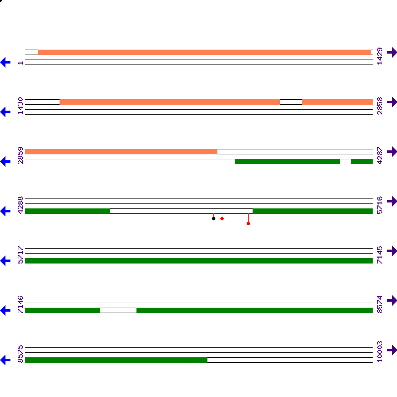 Genome View