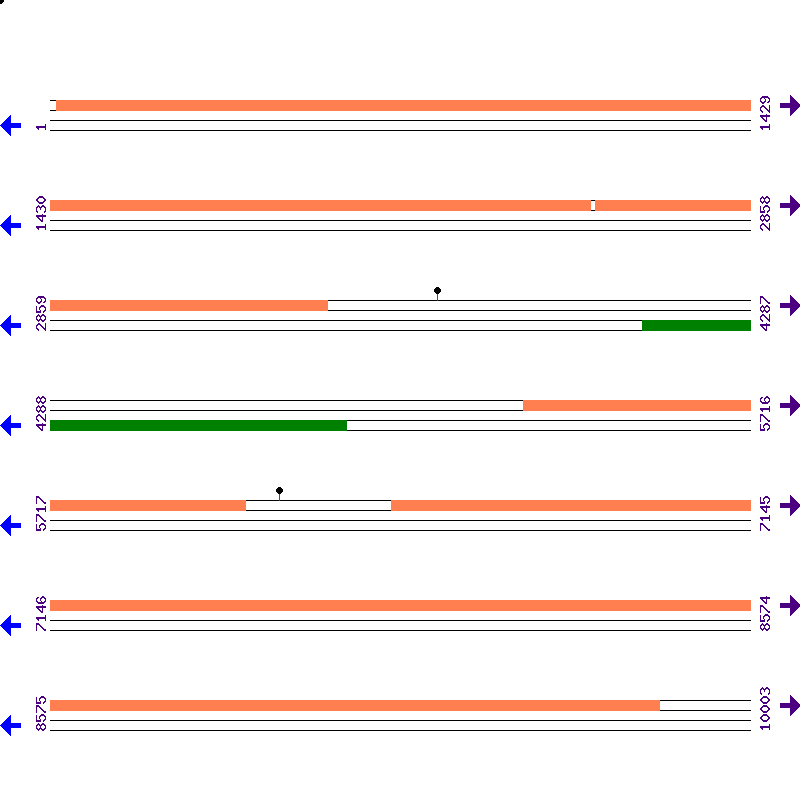 Genome View