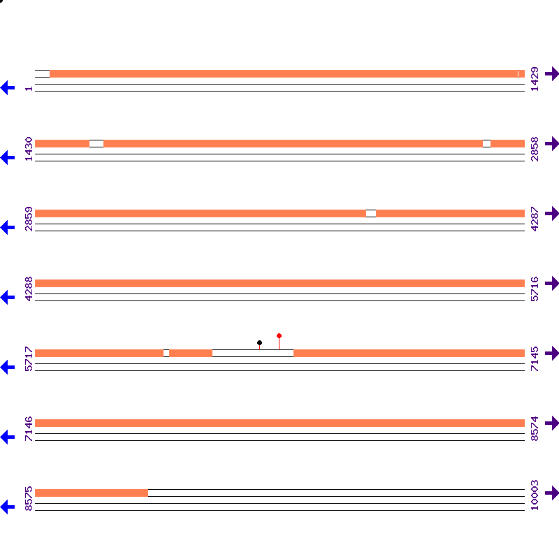 Genome View