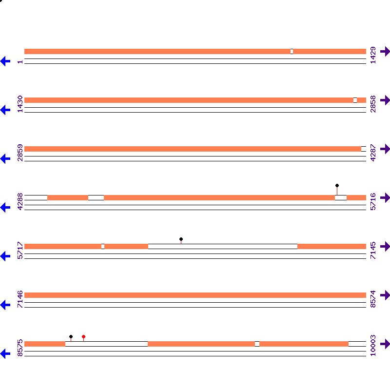 Genome View