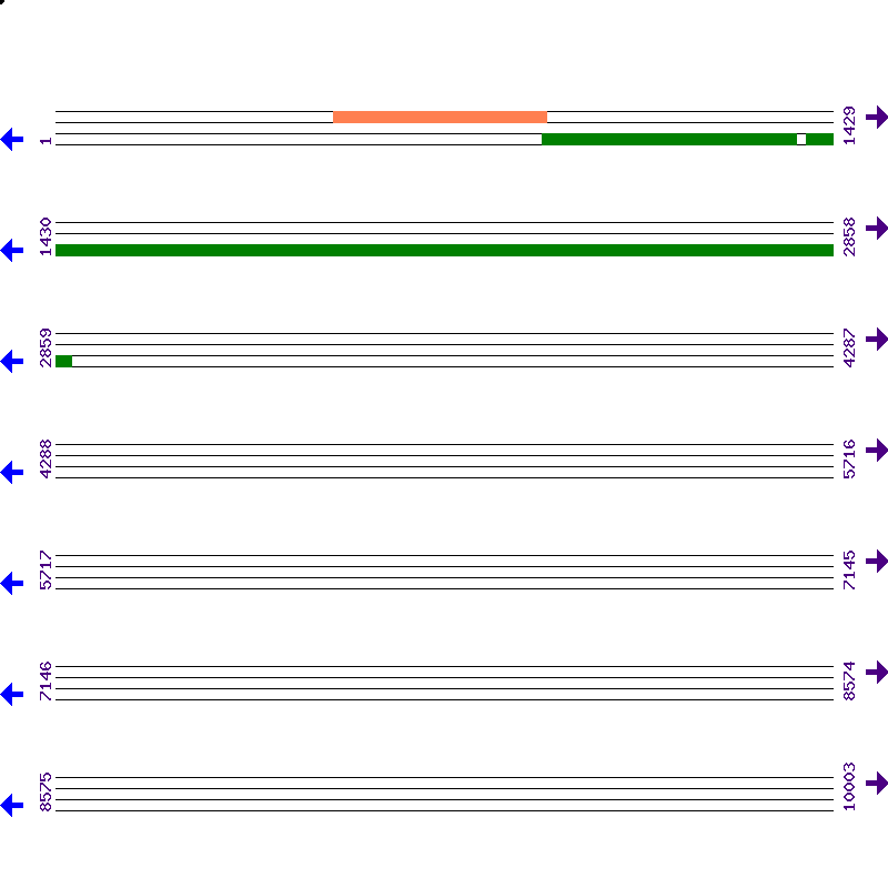 Genome View