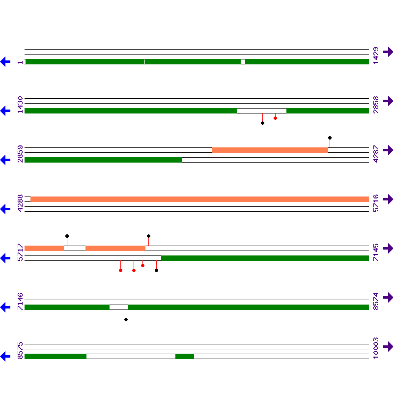 Genome View