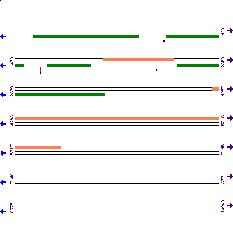 Genome View
