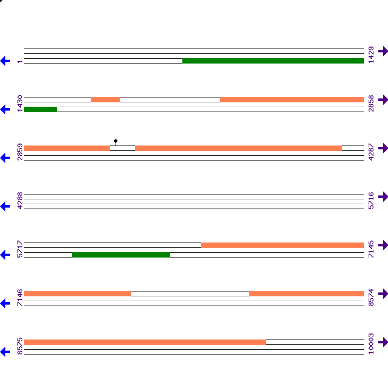 Genome View