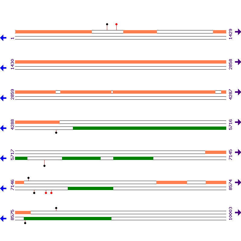 Genome View