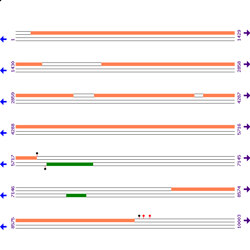 Genome View