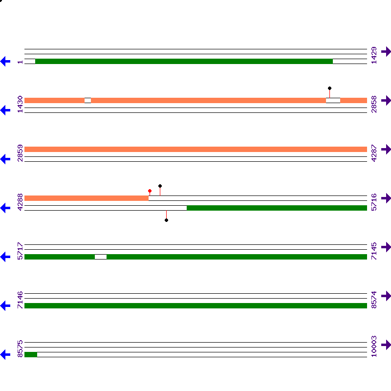 Genome View