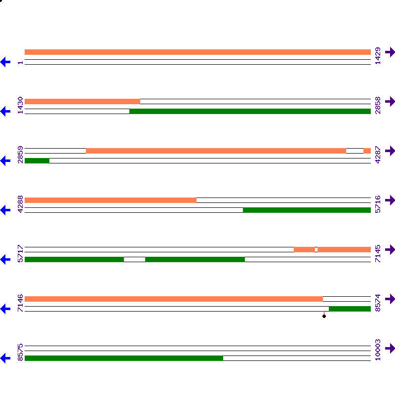 Genome View