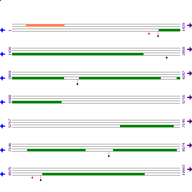 Genome View