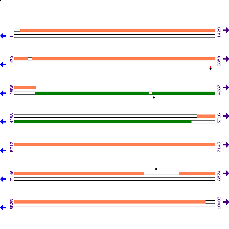 Genome View