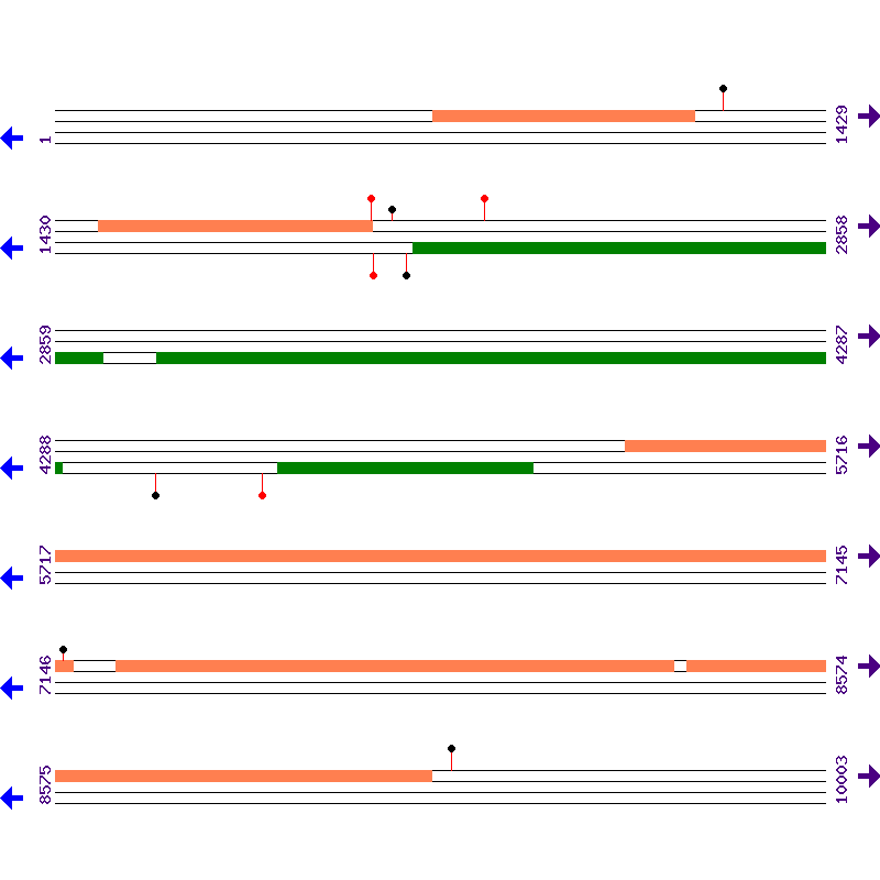 Genome View