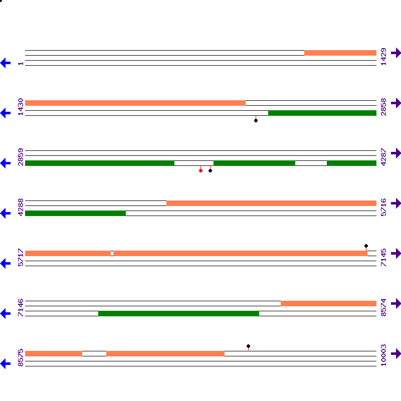 Genome View