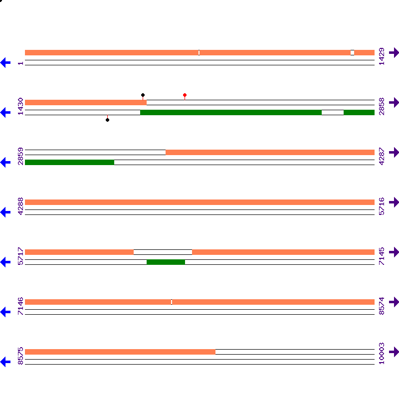 Genome View