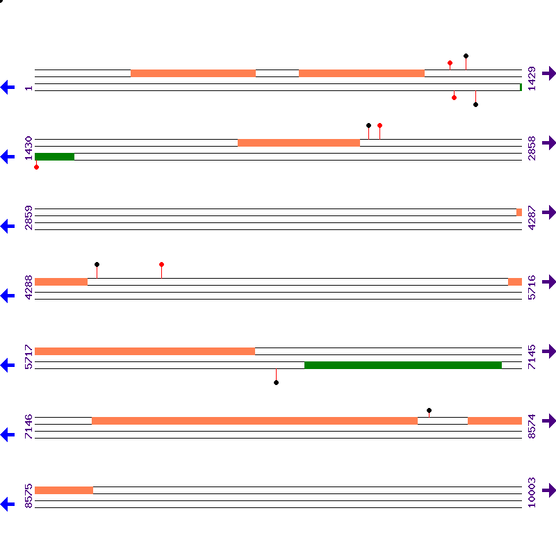 Genome View