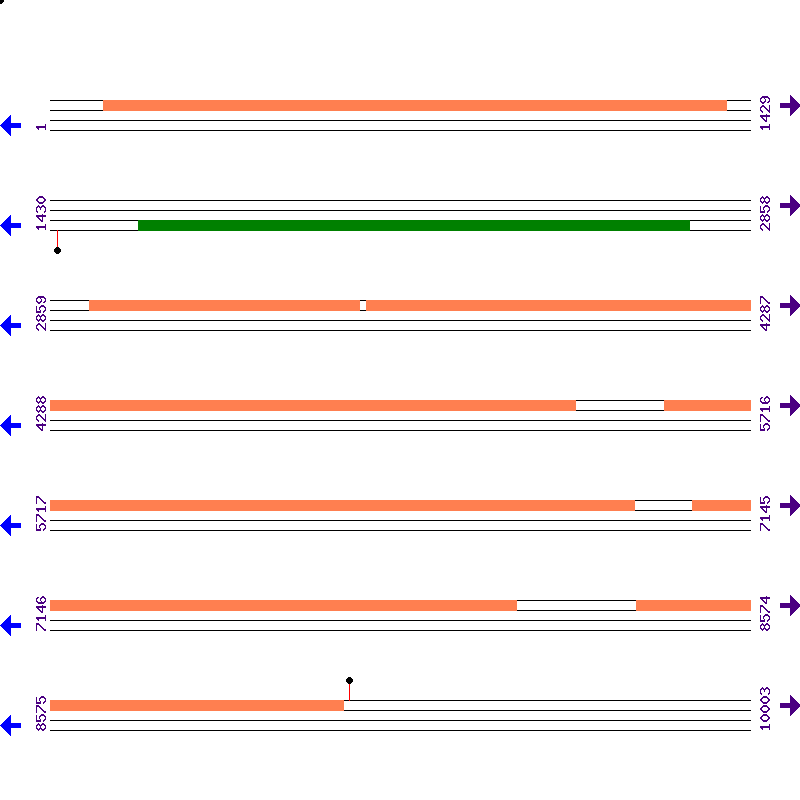 Genome View