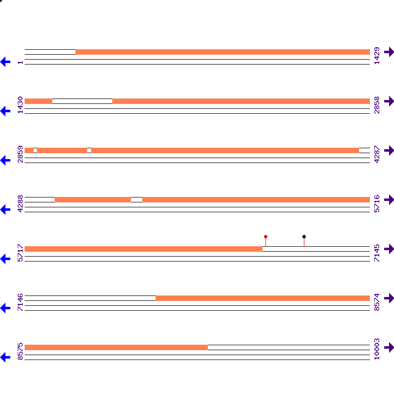 Genome View