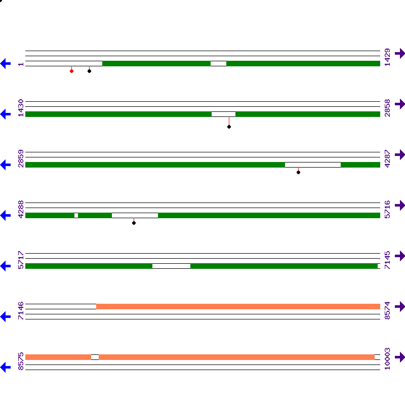 Genome View