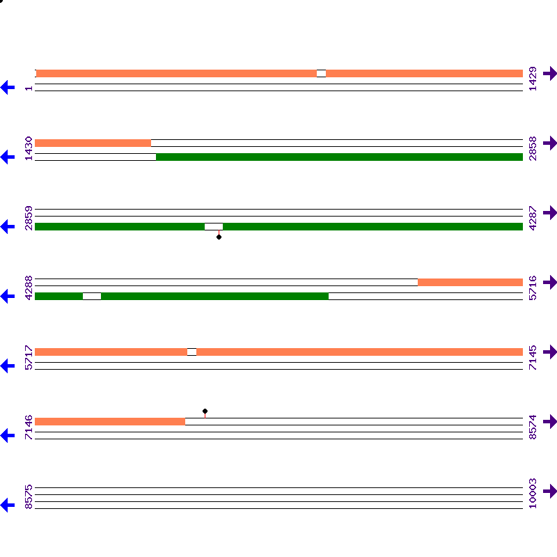 Genome View